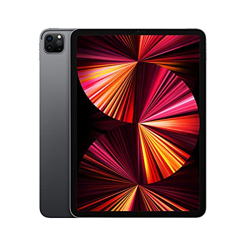 Apple 2021 iPad Pro (11", Wi-Fi, 1 TB) - Space Grau (3. Generation)