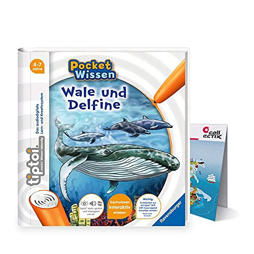 tiptoi Ravensburger Buch 4-7 Jahre | Pocket Wissen - Wale und Delfine + Kinder Weltkarten Poster | pocketwissen