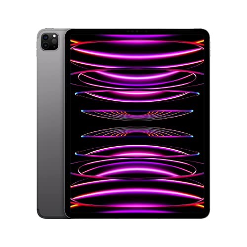 Apple 2022 12,9" iPad Pro (Wi-Fi, 512 GB) - Space Grau (6. Generation)
